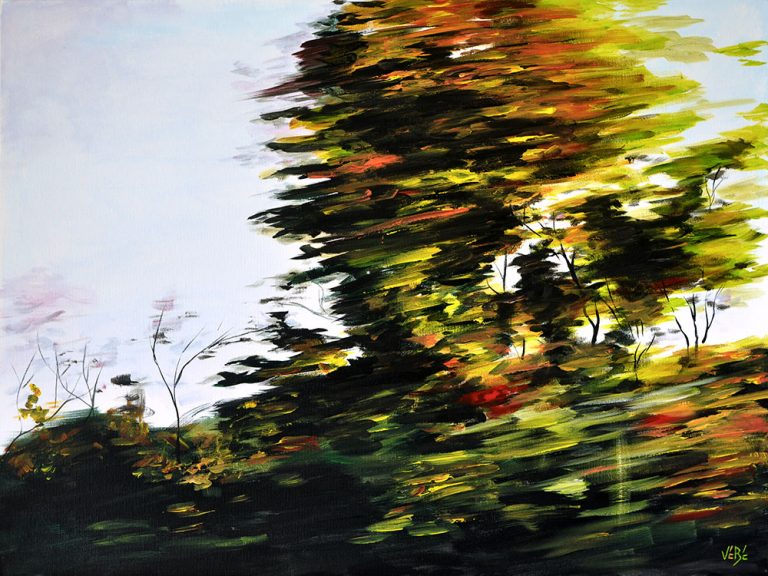 Éric Vébé - Artiste peintre - Albi - Occitanie